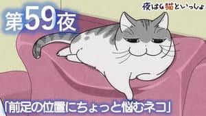 Night 59: A Cat Who Can't Decide Where to Rest Its Forepaw