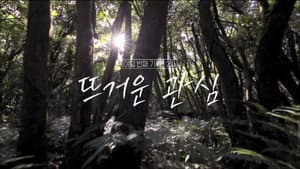 Episode 26