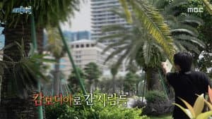 Episode 16