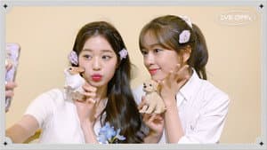 Goodbye to Flowers (with ANYUJIN x JANGWONYOUNG)