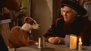 The Hunchdog of Notre Dame