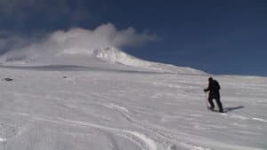 Mt. Hood