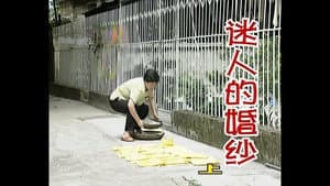 Episode 211