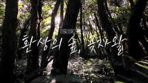 Episode 25
