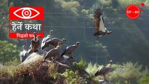 Giddha Ko Katha