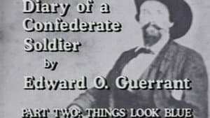 Diary of a Confederate Soldier (Part 2)