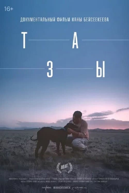 Тазы