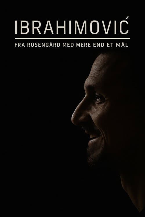 Ibrahimović – From Rosengård with More Than One Goal