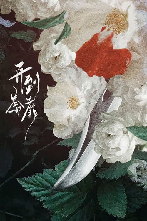 开到荼靡