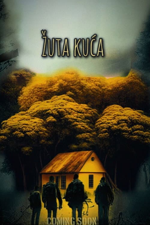 The Yellow house