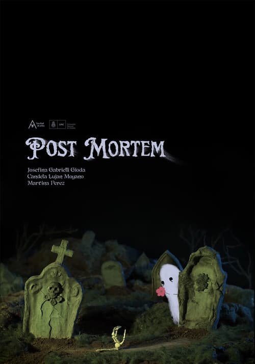 Post Mortem