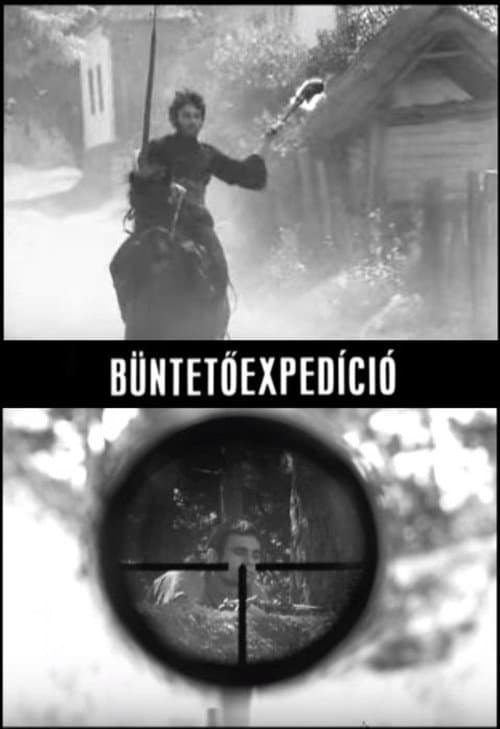 Punitive Expedition