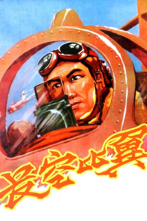 Flying in the Sky