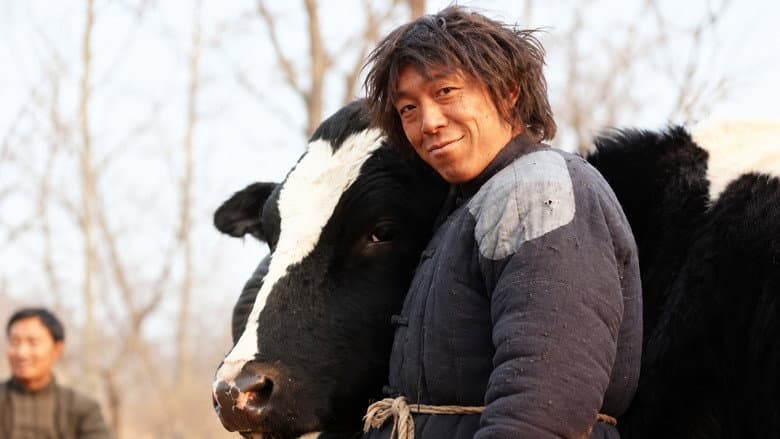 Cow
