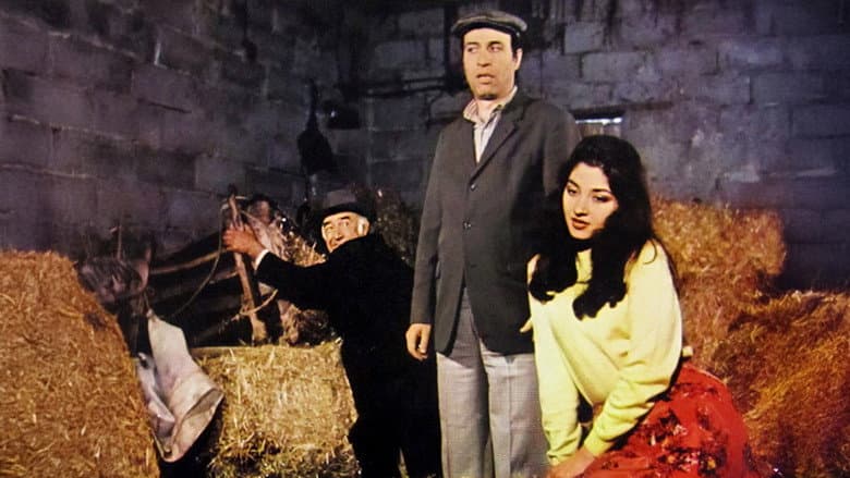 Tokatçı