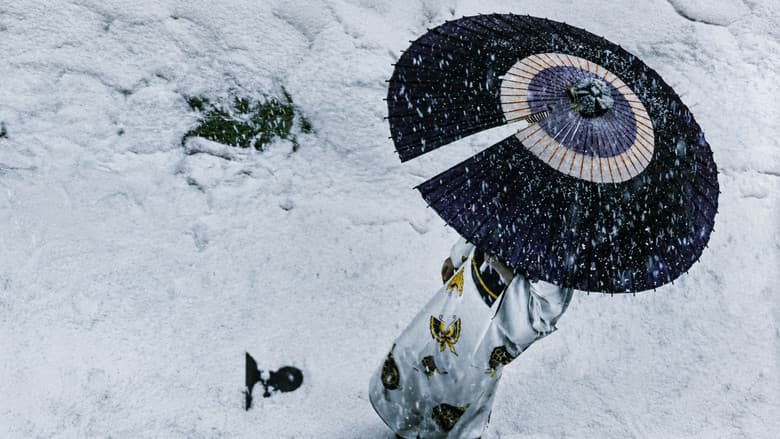 Lady Snowblood
