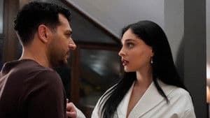 Episode 22