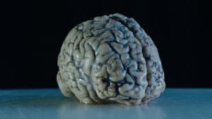 What Power Do Thoughts Have?