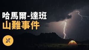 Episode 245