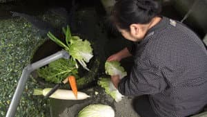 Harie, Shiga: A Town Living with Water