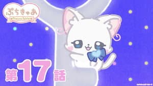 Episode 17