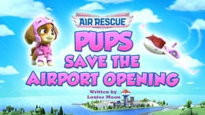 Pups Save the Airport Opening