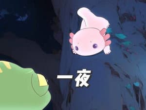 Episode 8