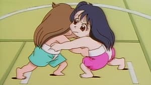 It's Sumo Time: The Sumo Tournament!