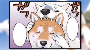 Catch / Rival / Theory of Love