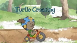 Turtle Crossing