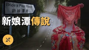 Episode 265
