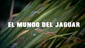 The World of the Jaguar