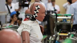 Crash Test Dummies