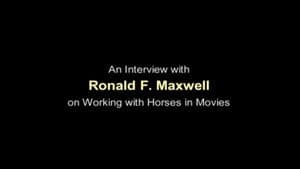 Working with Horses in Movies