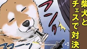 Chess / Loop (Role Reversal) / Can`t Quit