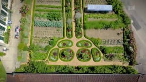 A farmer's garden