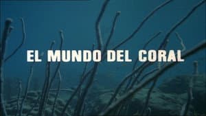 The World of Coral