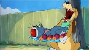 Episode 35