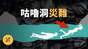 Episode 235