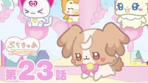 Episode 23