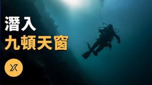 Episode 239