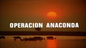 Operation Anaconda