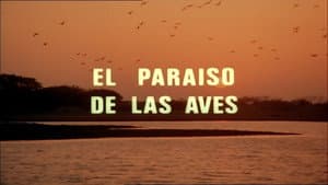 The Paradise of the Birds