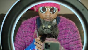 Cat Rappers Delight