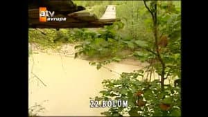 Episode 22
