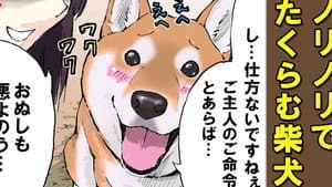 Surprise! / Setsubun / Fetch: Shibas