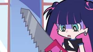 The Plush