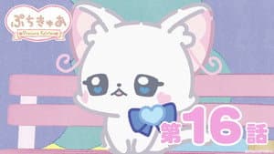 Episode 16