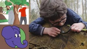 Episode 293