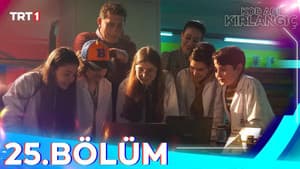 Episode 25